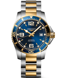 HydroConquest / 41mm