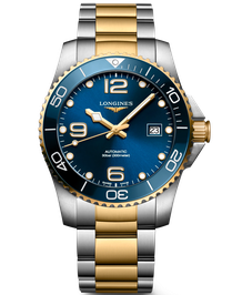 HydroConquest / 41mm