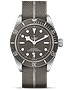 Men's watch / unisex  TUDOR, Black Bay Fifty-Eight 925 / 39mm, SKU: M79010SG-0002 | dimax.lv