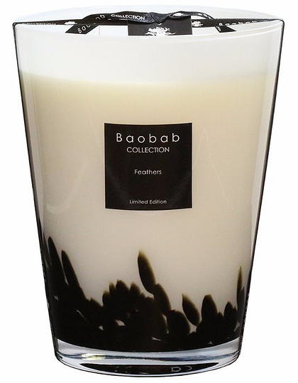  BAOBAB COLLECTION, Feathers Max 24, SKU: MAX24FE | dimax.lv