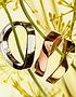 Women Jewellery  OMEGA, Aqua Swing, SKU: R43BGA0500153 | dimax.lv